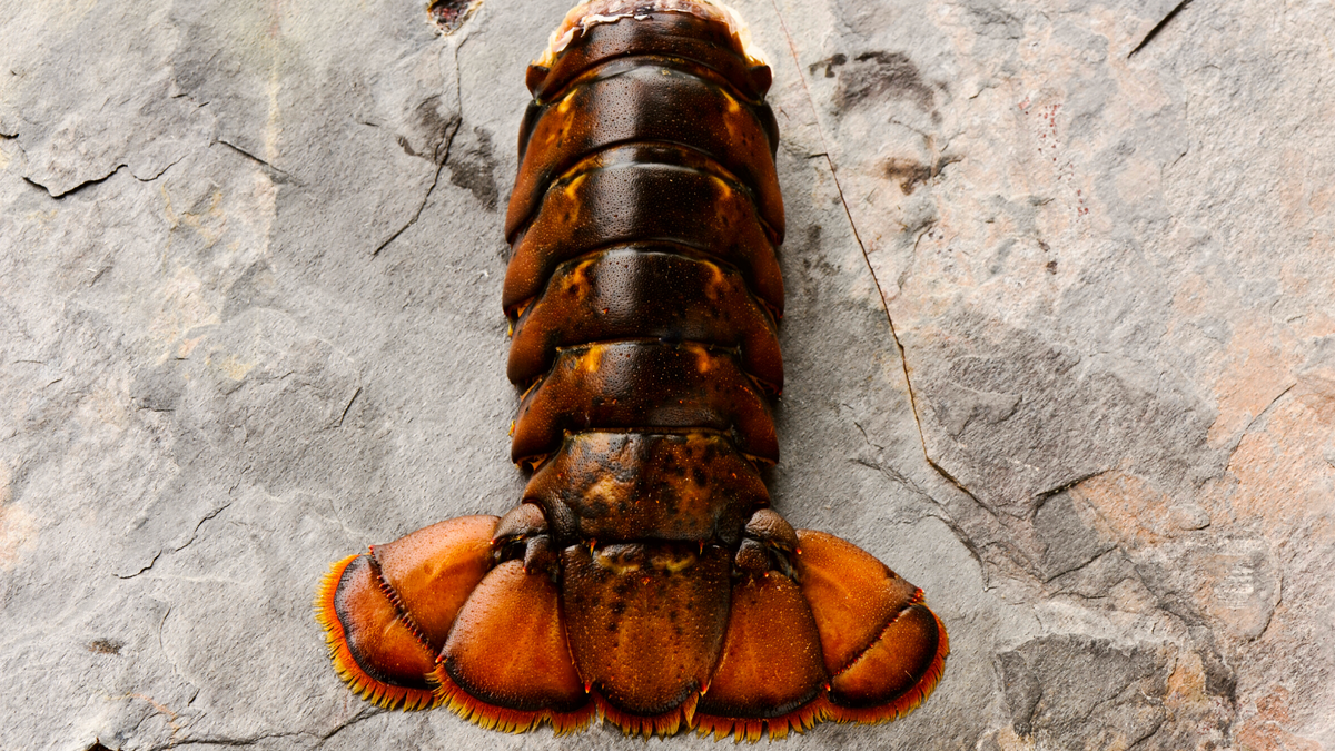 Juicy Jumbo-Size Lobster Tails (7-8oz)