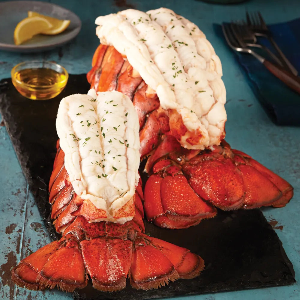 Free cold chain delivery - Extra large fresh lobster tailsBoston lobster
