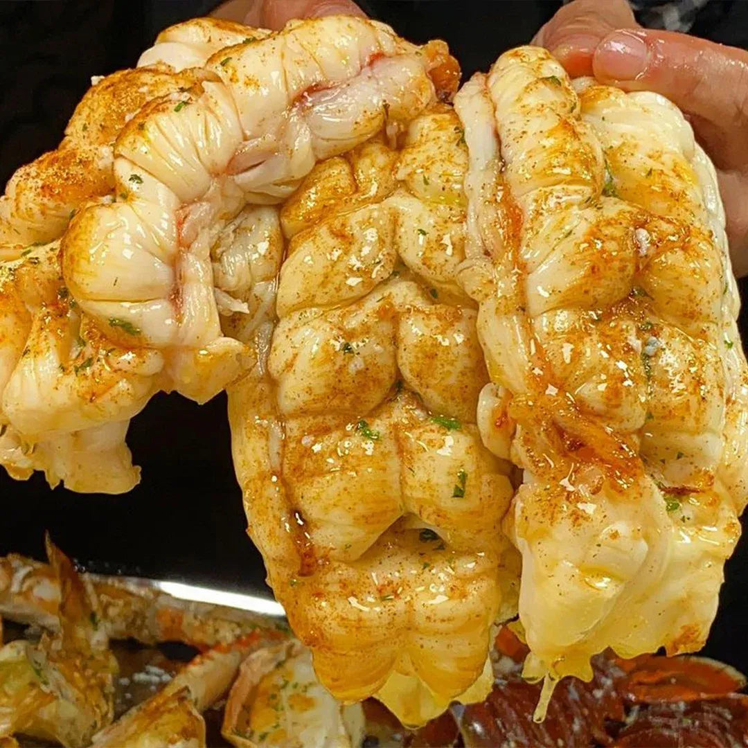 Free cold chain delivery - Extra large fresh lobster tailsBoston lobster