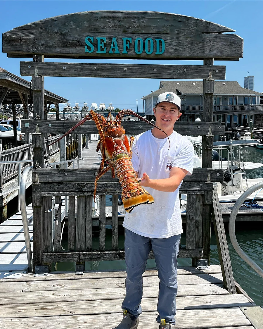 Free cold chain delivery - Extra large fresh lobster tailsBoston lobster